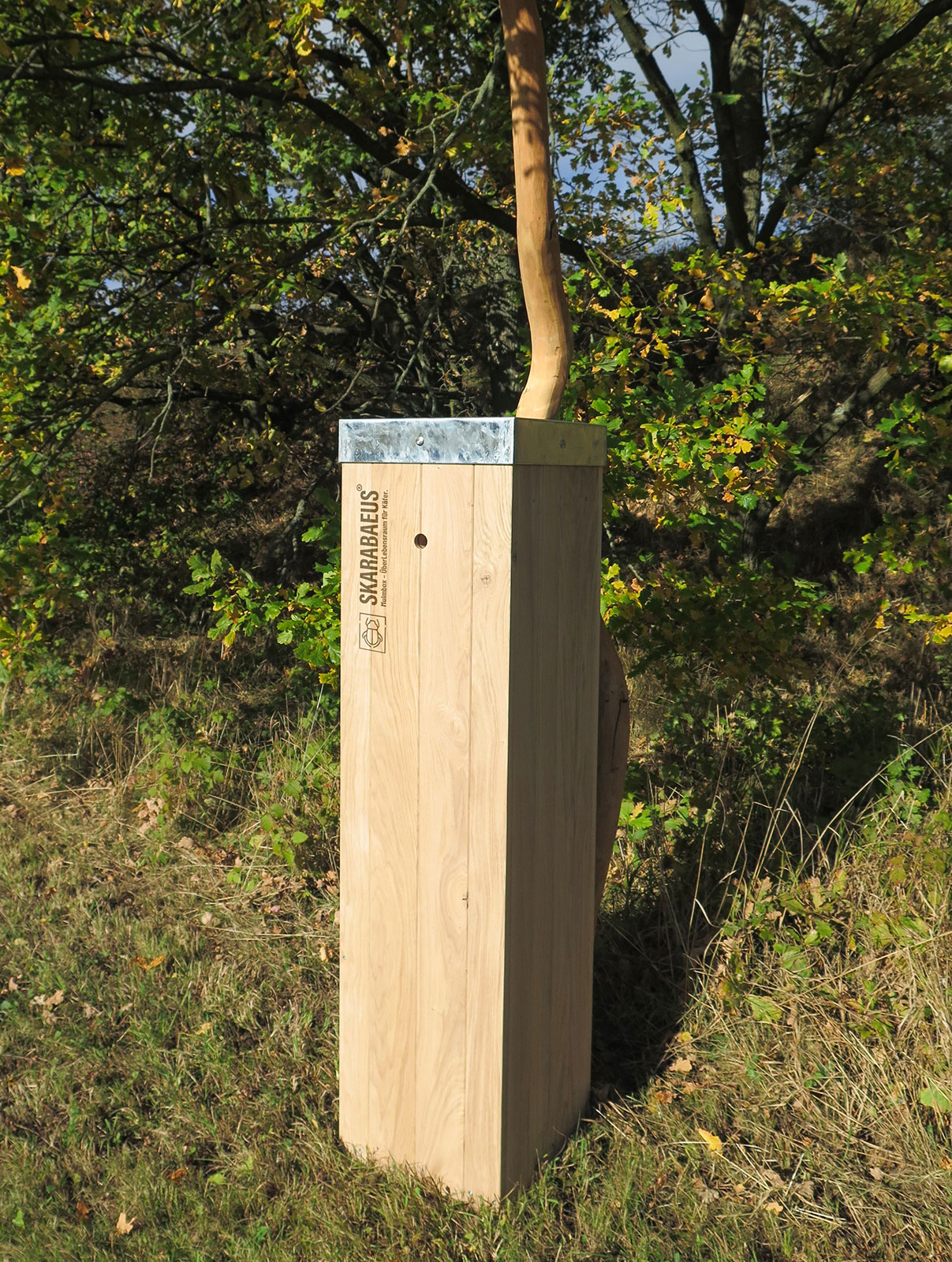 Mulmbox Skarabaeus®